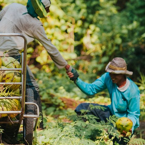 Impact Thailand: How Every Bottle of Methylene Blue is Changing Lives