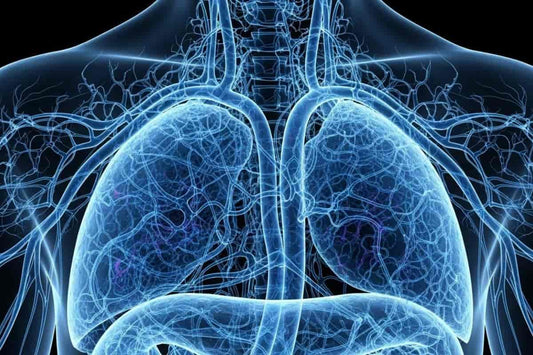 An x-ray of the human chest in a glowing blue color inspired by methylene blue